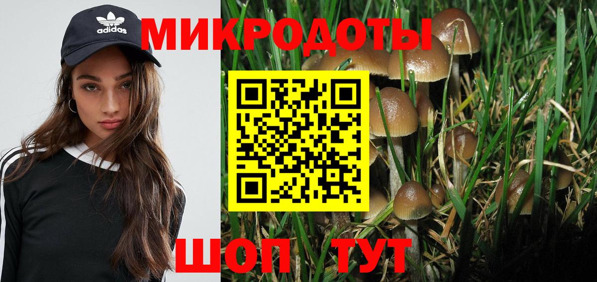 Псилоцибиновые грибы мухоморы Новодвинск