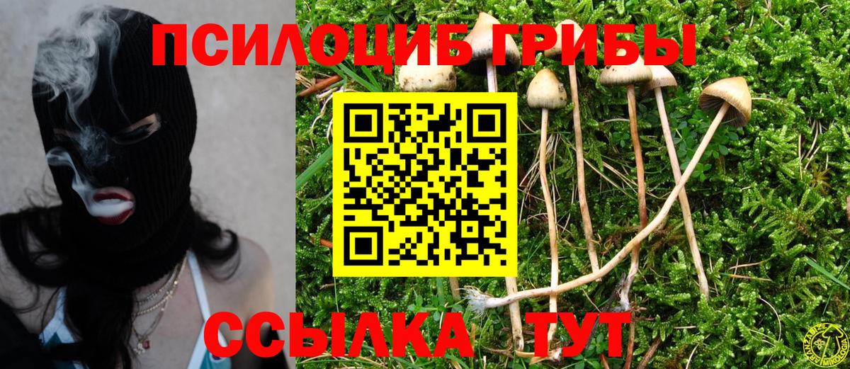 Псилоцибиновые грибы мухоморы  Вход с VPN  Новодвинск  Псилоцибиновые грибы Psilocybine cubensis 